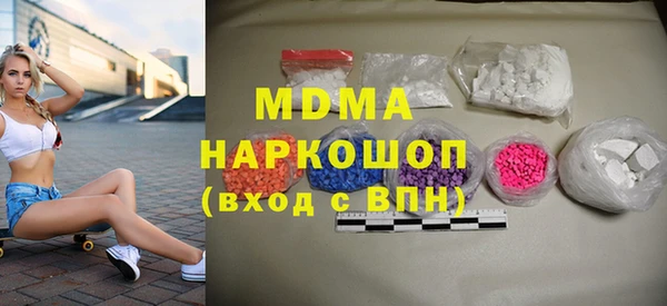 мдпв Каменка