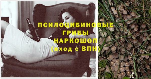 spice Каменск-Шахтинский