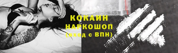 мдпв Каменка