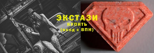 мдпв Каменка