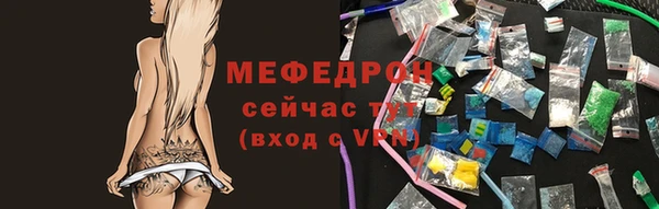 мдпв Каменка
