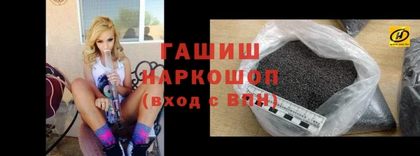 мдпв Каменка