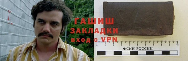 мдпв Каменка