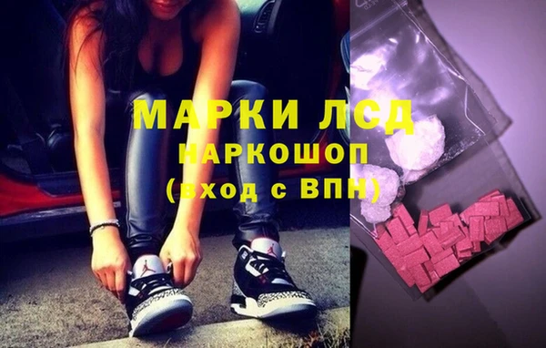 мдпв Каменка