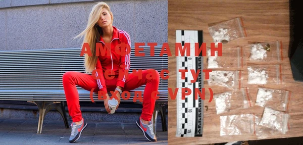 мдпв Каменка