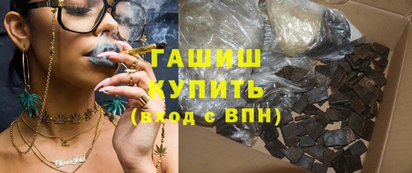 мдпв Каменка