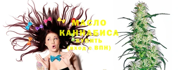 мдпв Каменка